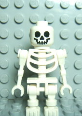 u`[] Skeleton with Skull^X{b@7623